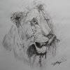 The King