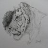 Drawings by Garry Gomersall